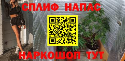 шишки Нарткала