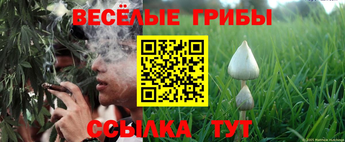 Гашиш  Вход с VPN  Славянск-на-Кубани  МЕФ кристаллы  Каннабис  Метамфетамин 